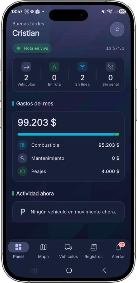 Panel — resumen de flota